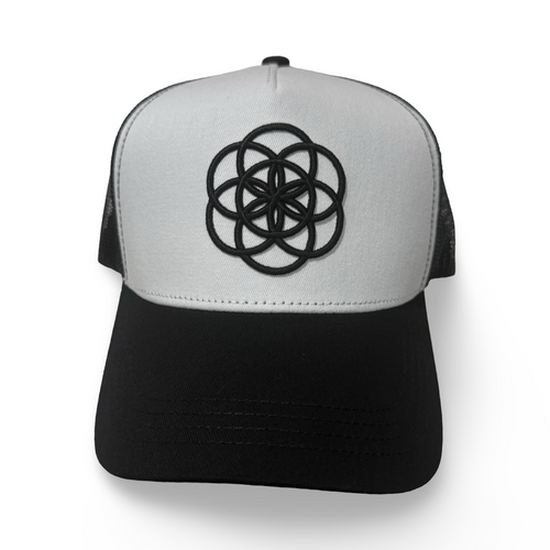 Core Panda Trucka Hat Snapback product photo, black and white hat on a white background